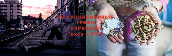 каннабис Арсеньев