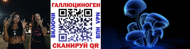 сколько стоит  Аткарск  Псилоцибиновые грибы MAGIC MUSHROOMS 